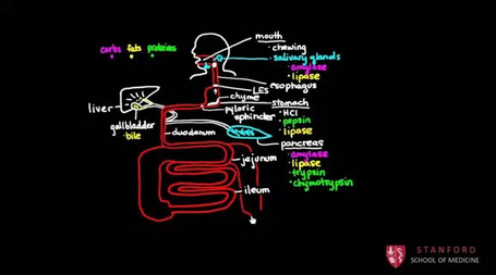 MOOC(大型开放式网络课程)教学视频拍摄方法建议 MOOC(大型开放式网络课程)教学视频拍摄方法建议