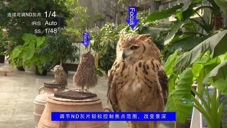 索尼手持式摄录一体机各机型分别有何独特优势?经济之选PXW-X160 索尼手持式摄录一体机各机型分别有何独特优势?经济之选PXW-X160