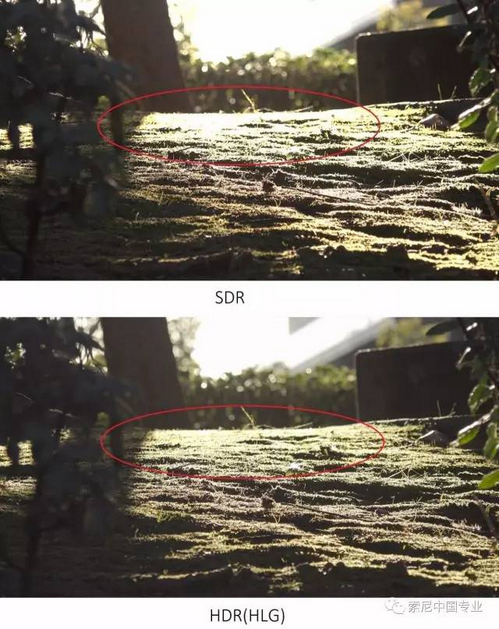 索尼新武器 HLG,让 HDR 飞入百姓家 索尼新武器 HLG,让 HDR 飞入百姓家