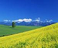 日本北海道电视台升级草谷的硬件和软件解决方案