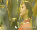 高品质路上的践行者 -专访电视剧《红高粱》摄影指导/《芈月传》A组导演谢泽